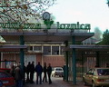 Вискоза